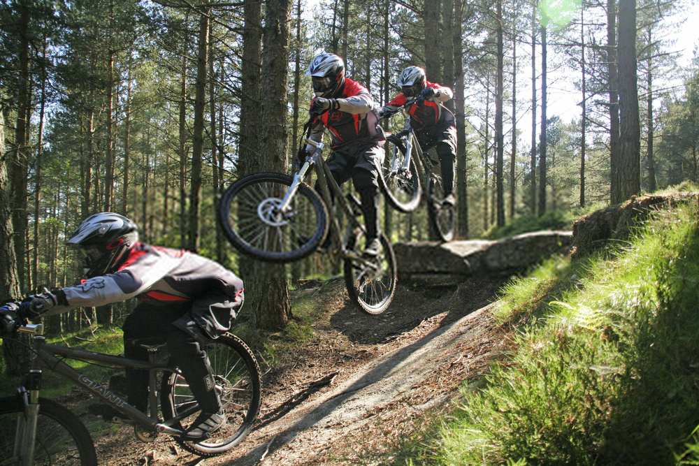 FreeRide